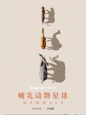 奇幻冒险记
